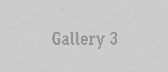 gallery_3